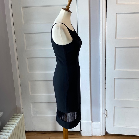 Dress the Population Fringe Midi Dress, Size M - Picture 11 of 16